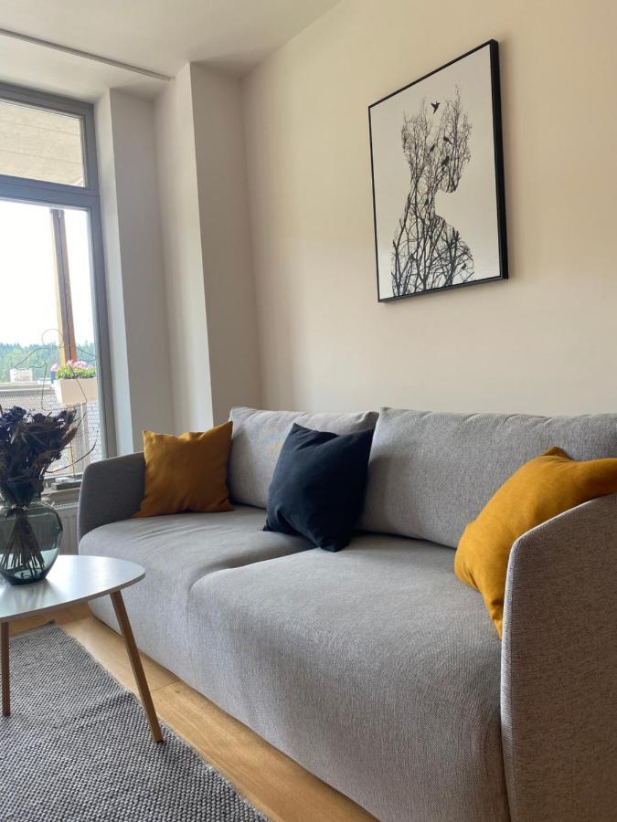 Luxusní Apartmán u sjezdovek s garáží Harrachov Exterior foto